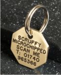 Octagonal Brass Pet Tag (Mini)