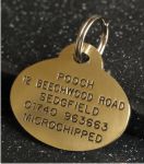 Oval Brass Pet Tag (Medium)