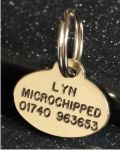 Oval Brass Pet Tag (Mini)