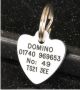 Hearts Plastic Pet Tag (Mini)