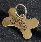 Bone Brass Pet Tag (Small)