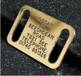 Collar Dog Tag (Medium) 