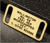 Collar Pet Tag (Small)