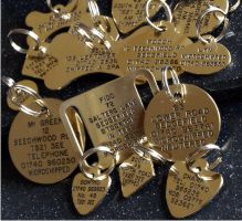 Brass Pet Tags