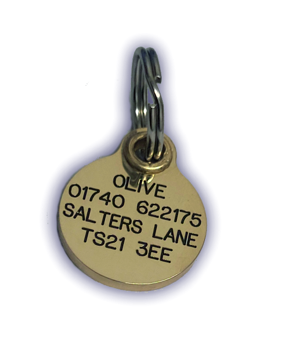 Mini Round Brass Pet Tag