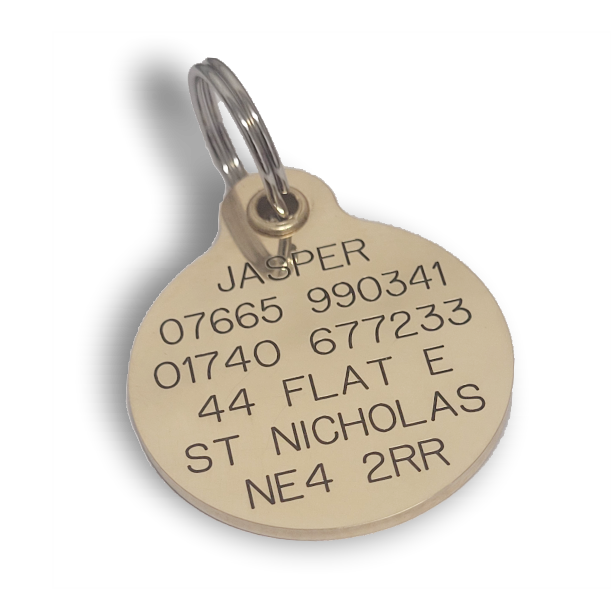 Large Pet Tag