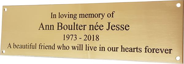 250x50x1.5mm Solid Brass Plaque