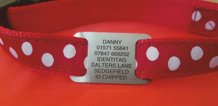Stainless Steel Collar Pet Tag (Small)
