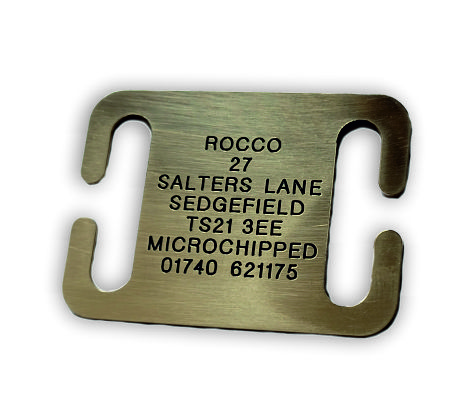 Open Ended Collar Brass Dog Tags ( Large )