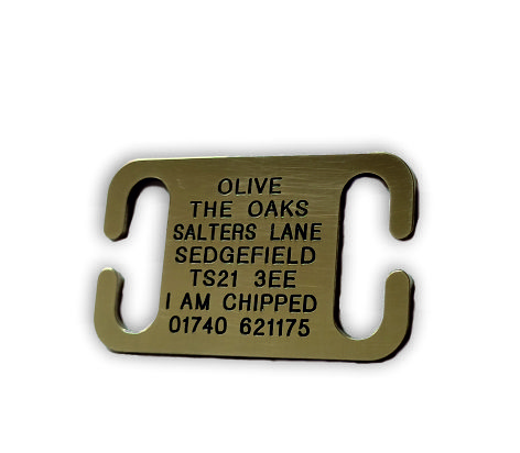 Open Ended Collar Brass Dog Tags (Medium) 