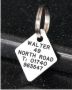 Diamond Plastic Pet Tag (Mini)