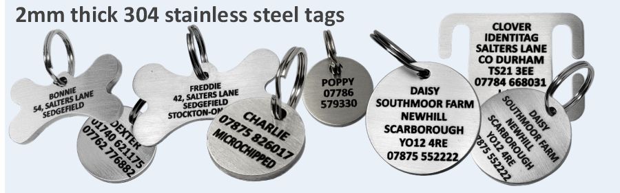 Thick dog tags 2025