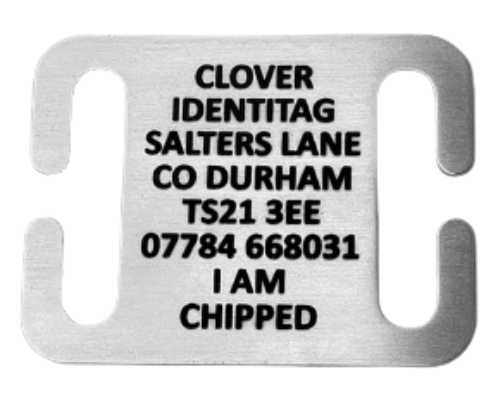 Stainless Steel Collar Dog Tag Large