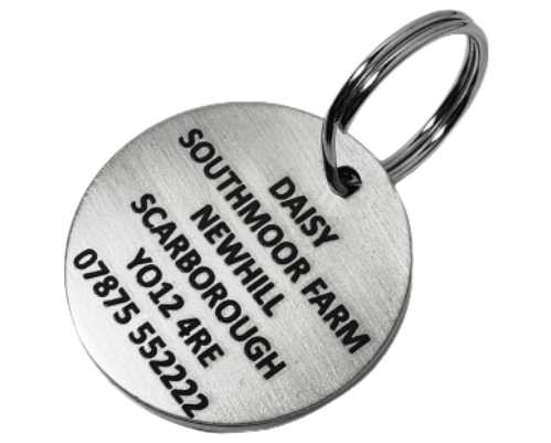 Durable dog tags for pets shop