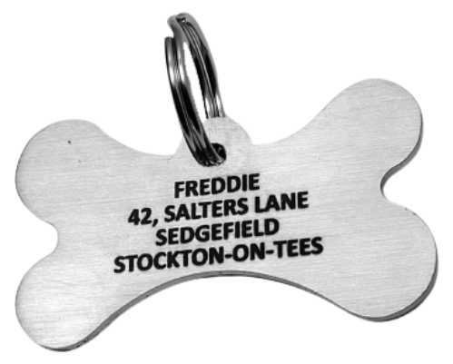 Bone Stainless Steel Pet Tag (Medium )