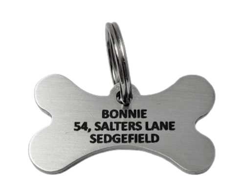 Stainless Steel Bone Pet Tag (Small)