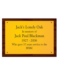 A4 Brass Plaque & Plinth