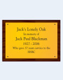 A3 Brass Plaque & P...