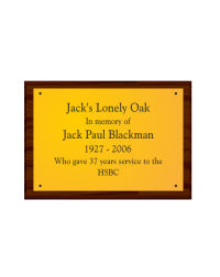 A5 Brass Plaque & Plinth