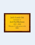 A5 Brass Plaque & P...