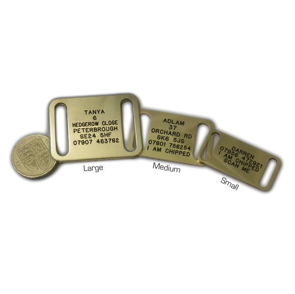 Collar_dog_tags