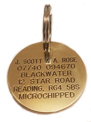 Large Pet Tag