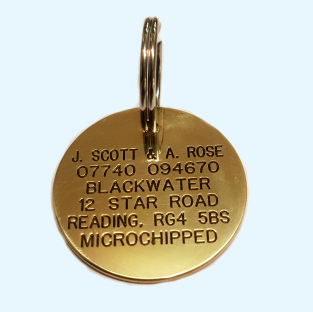 Round Brass Pet Tag (Large)