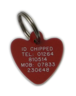 Heart Plastic Pet Tag Medium