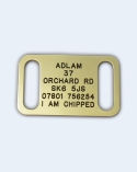 Collar Dog Tag (Medium) 