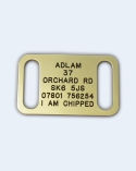 Collar Dog Tag (Medium) 