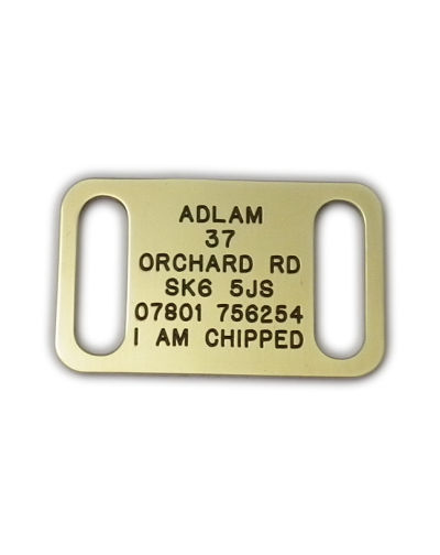 Collar Dog Tag (Medium) 