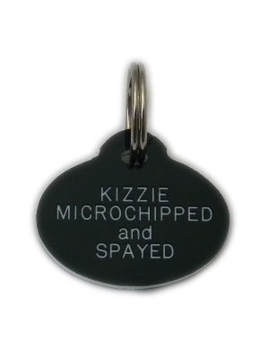 Plastic pet 2025 id tags