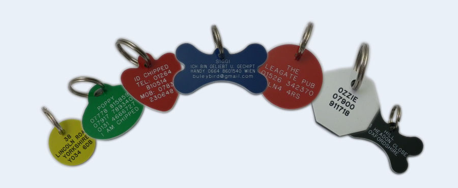 Plastic pet id tags double sided online