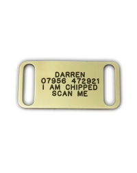 Collar_dog_tags