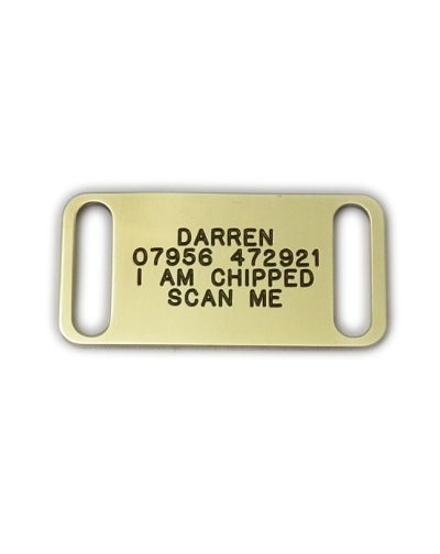 Collar_dog_tags