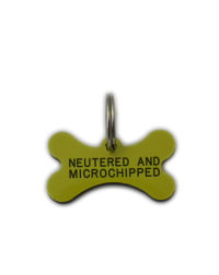 Dog_name_tags