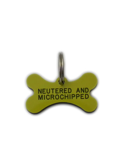 Dog_name_tags