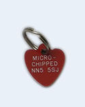 Hearts Plastic Pet Tag (Mini)