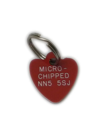 Plastic_dog_tags