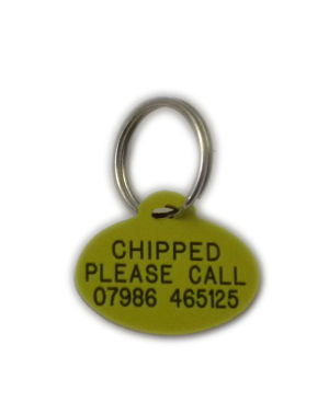 Plastic cat hotsell id tags